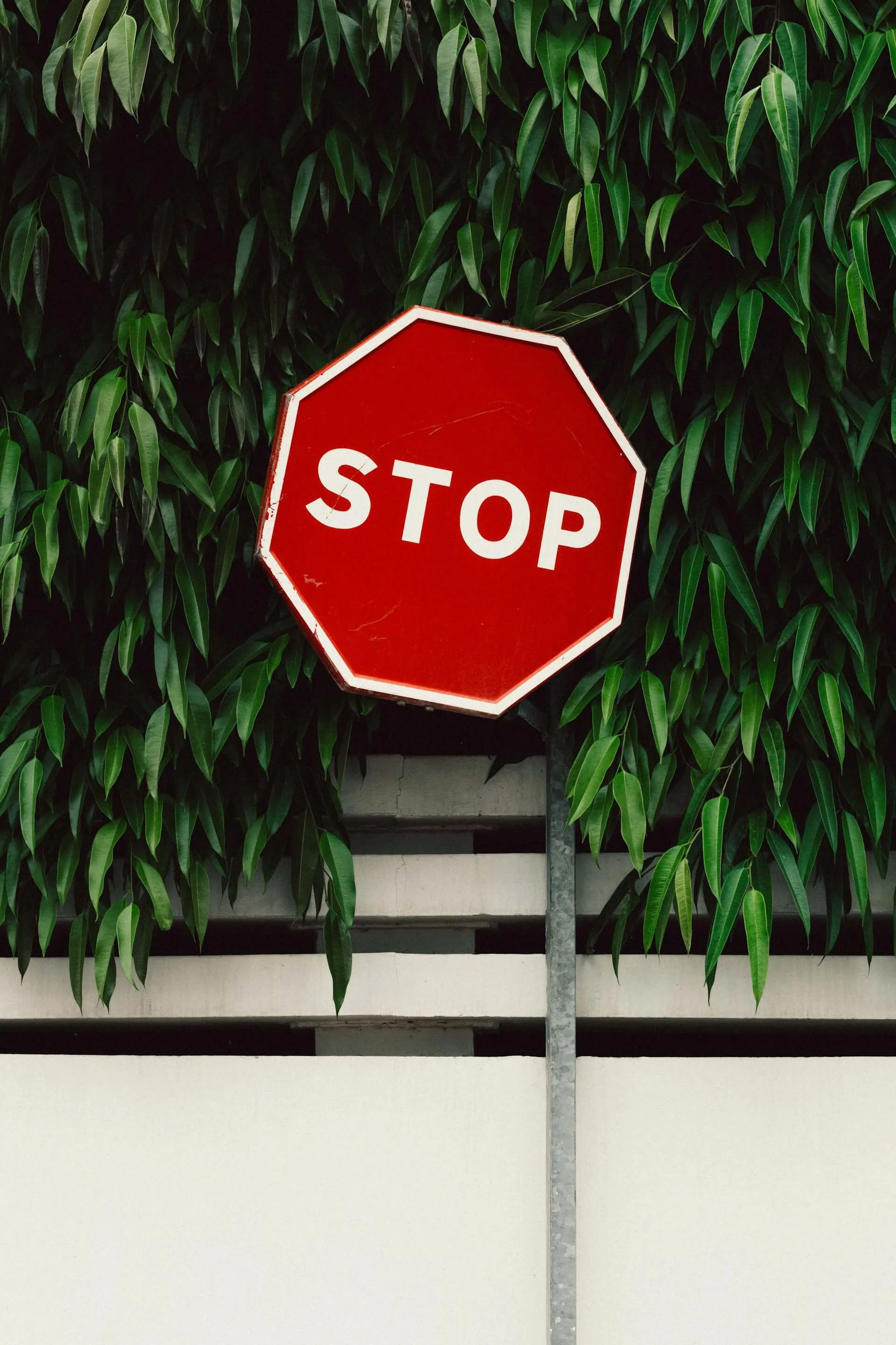 WordPress plugins security and the risks of installing too many plugins